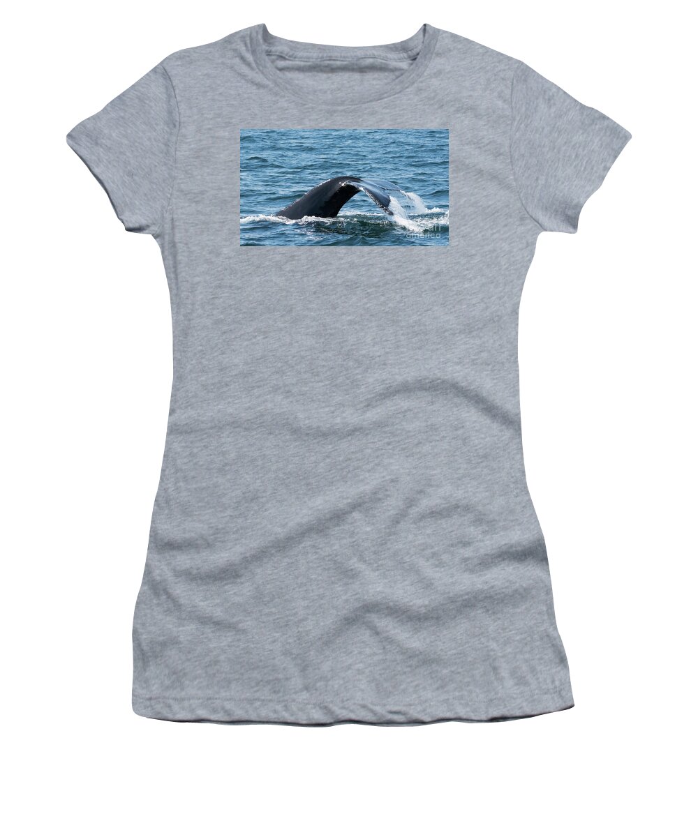 Whale Women's T-Shirt featuring the photograph Humpback Whale of a Tail by Lorraine Cosgrove