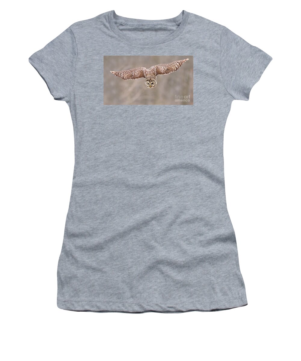 Wild Women's T-Shirt featuring the photograph Hunting Barred Owl by Mircea Costina Photography