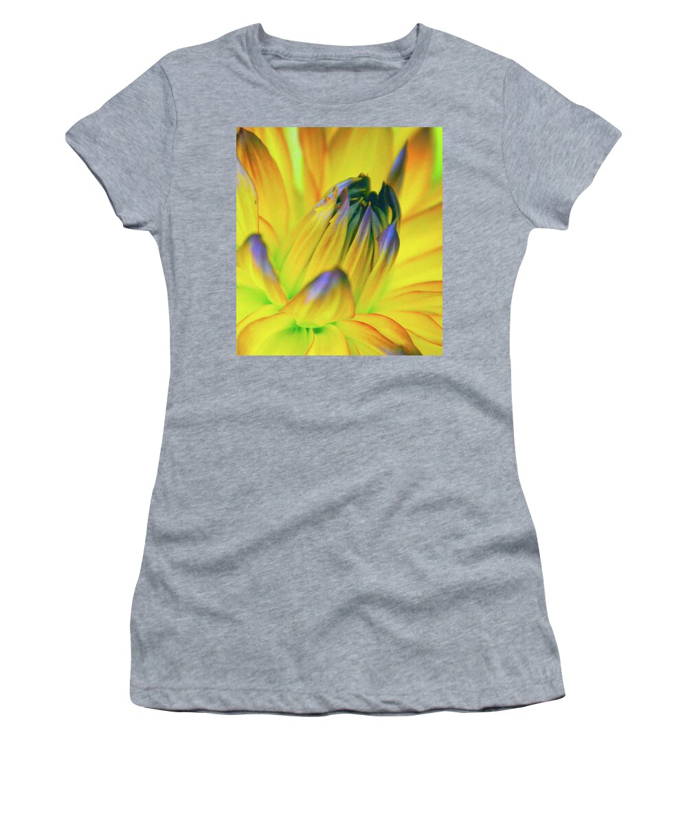 Backgrounds Women's T-Shirt featuring the photograph Husky Colors by Brian O'Kelly