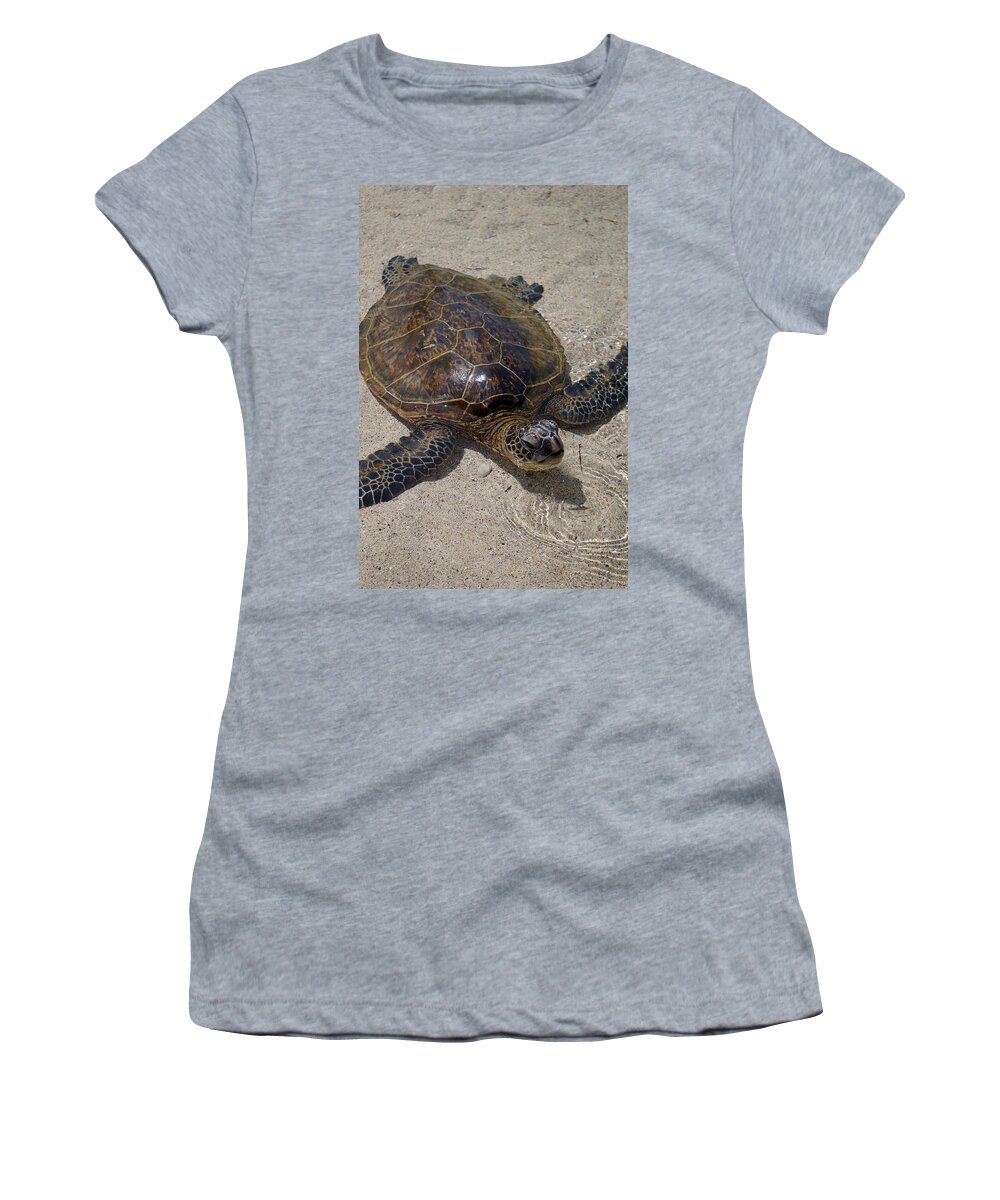 Turtle Women's T-Shirt featuring the photograph I need some Air by Pamela Walton
