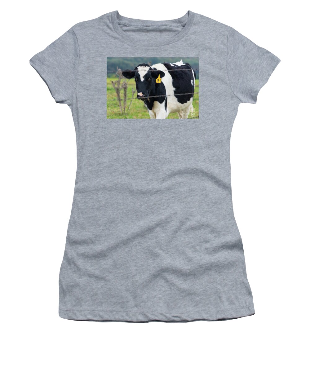 Cow Women's T-Shirt featuring the photograph I See You by Jennifer White
