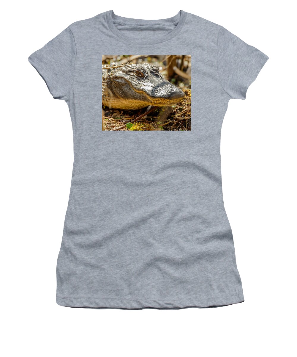 Alligator Women's T-Shirt featuring the photograph I See You by Joe Granita
