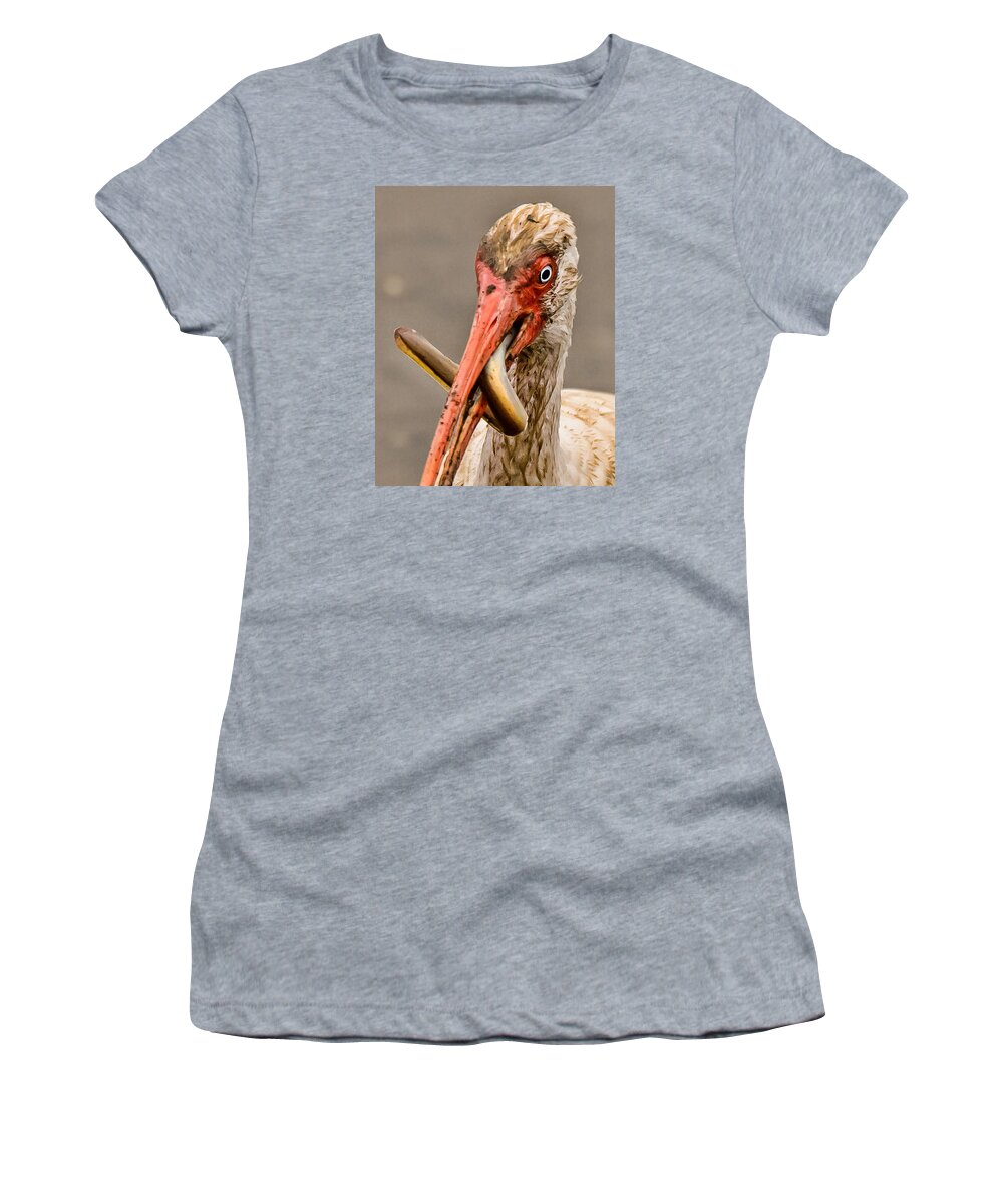 Ibus With Eel Women's T-Shirt featuring the photograph Ibus with EEL #4 by Joe Granita