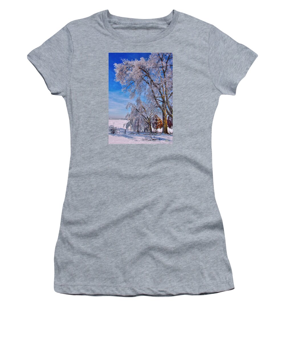Land Women's T-Shirt featuring the photograph Ice Trees in Sun by Sam Davis Johnson