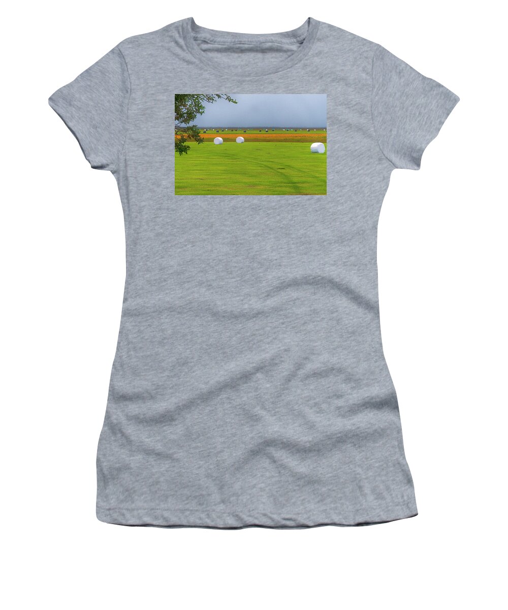 Iceland Women's T-Shirt featuring the photograph Iceland Hay Field by Tom Singleton