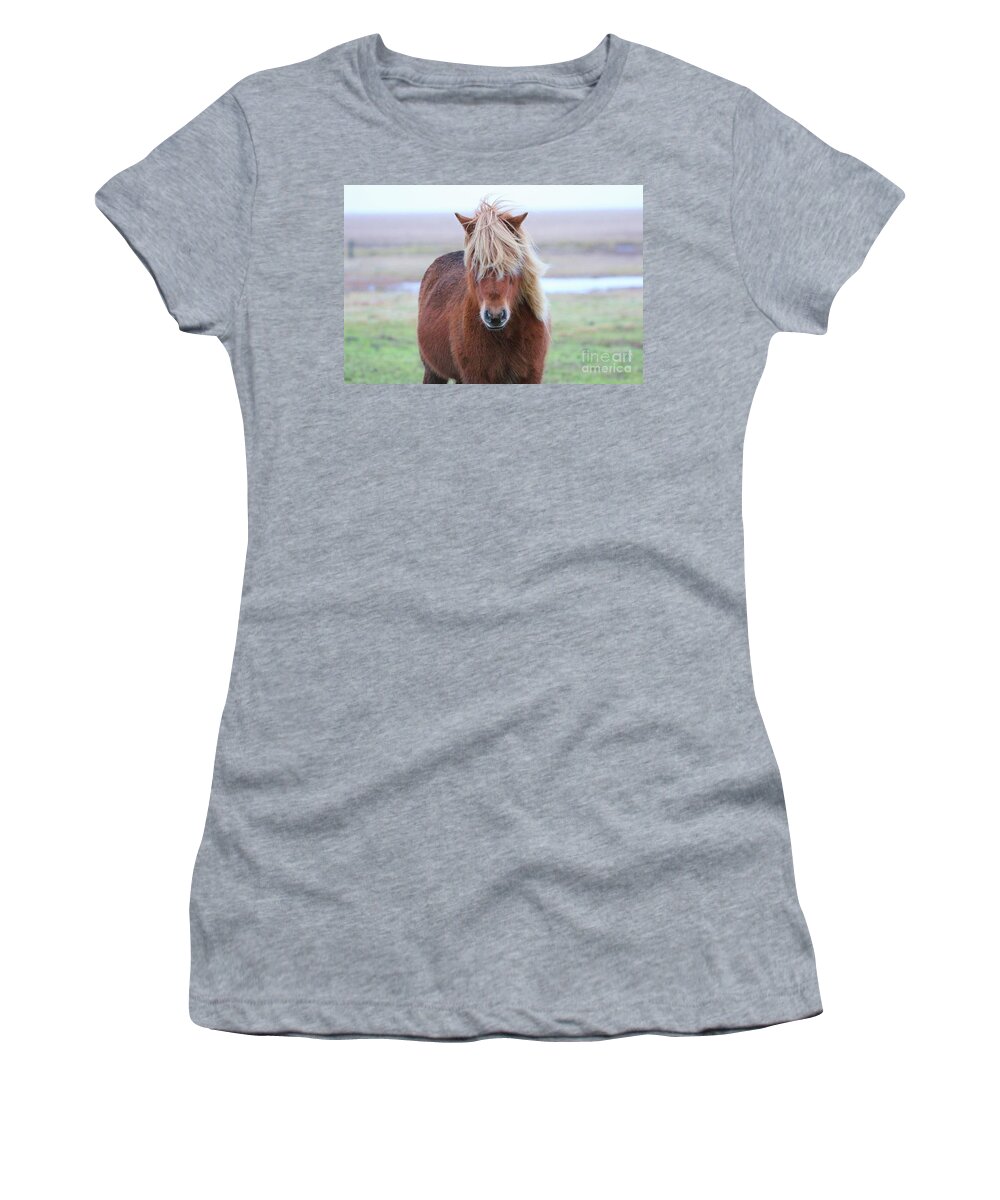 Icelandic Horse Women's T-Shirt featuring the photograph Icelandic Horse 7137 by Jack Schultz