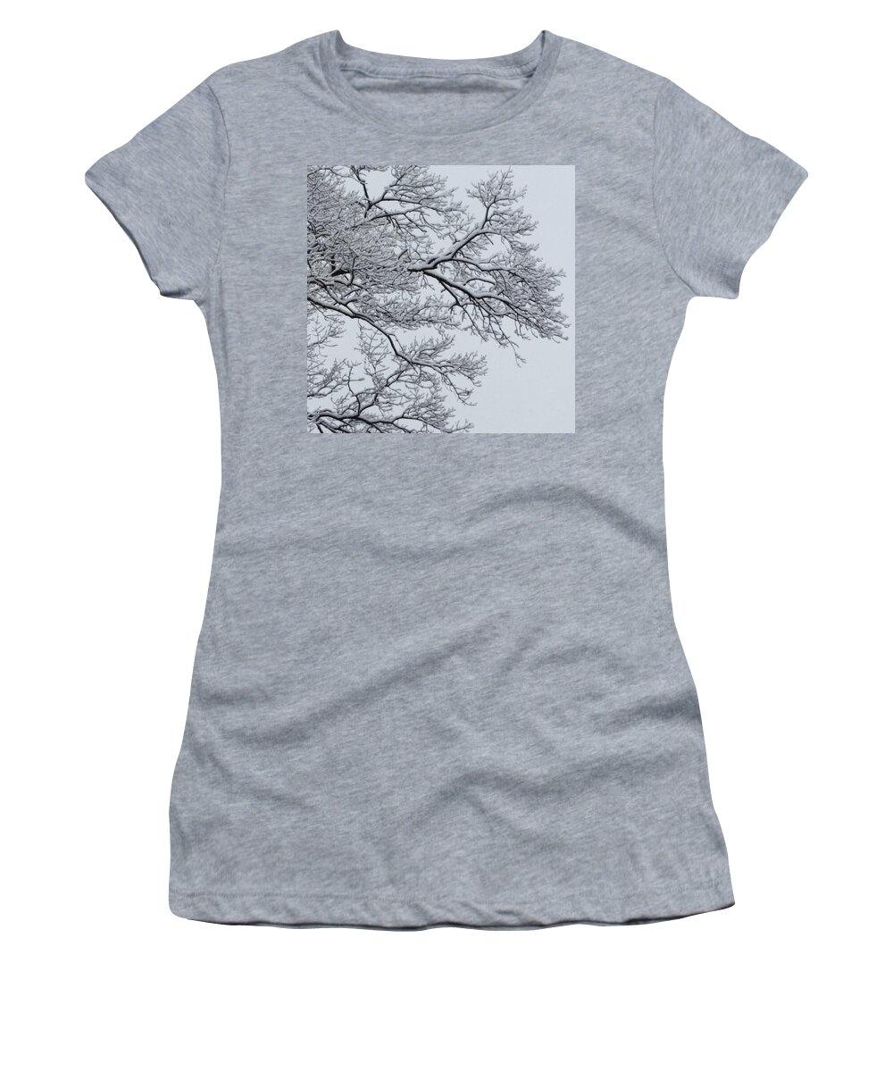 Ice Women's T-Shirt featuring the photograph Icey Winter Branch by Vic Ritchey