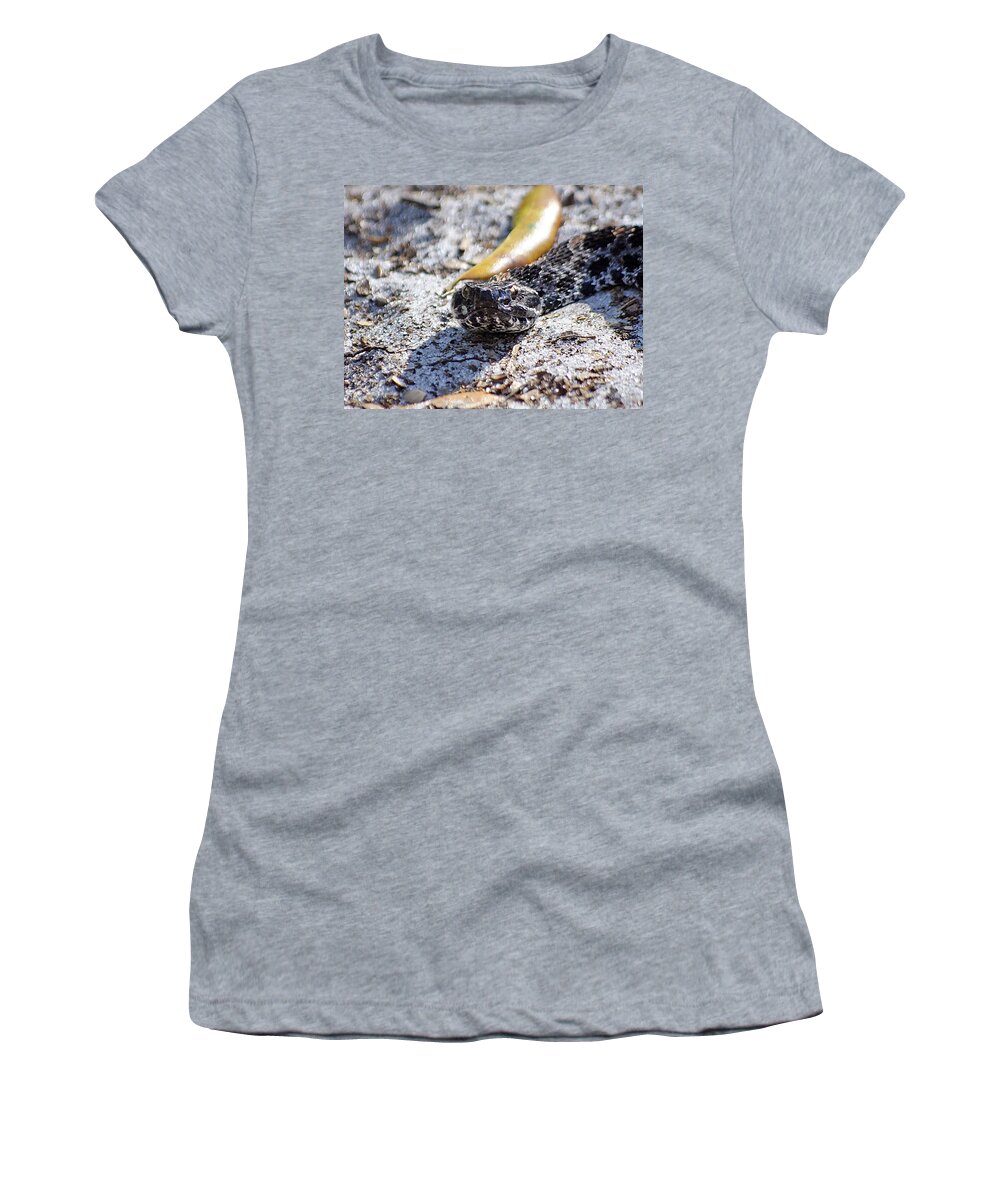 Wildlife Women's T-Shirt featuring the photograph If Looks Could Kill by Kenneth Albin