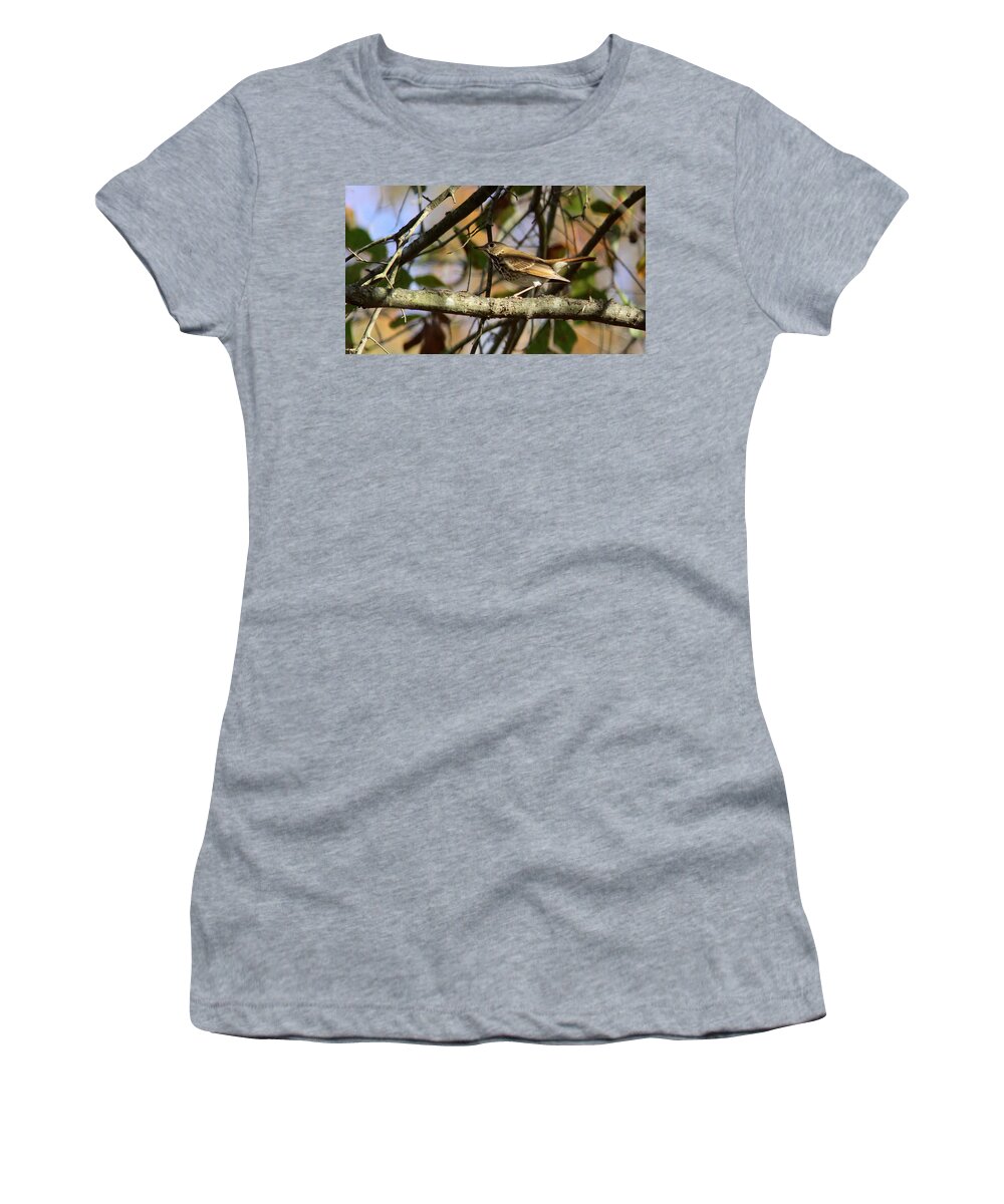 Hermit Thrush Women's T-Shirt featuring the photograph IMG_0636-001 - Hermit Thrush by Travis Truelove