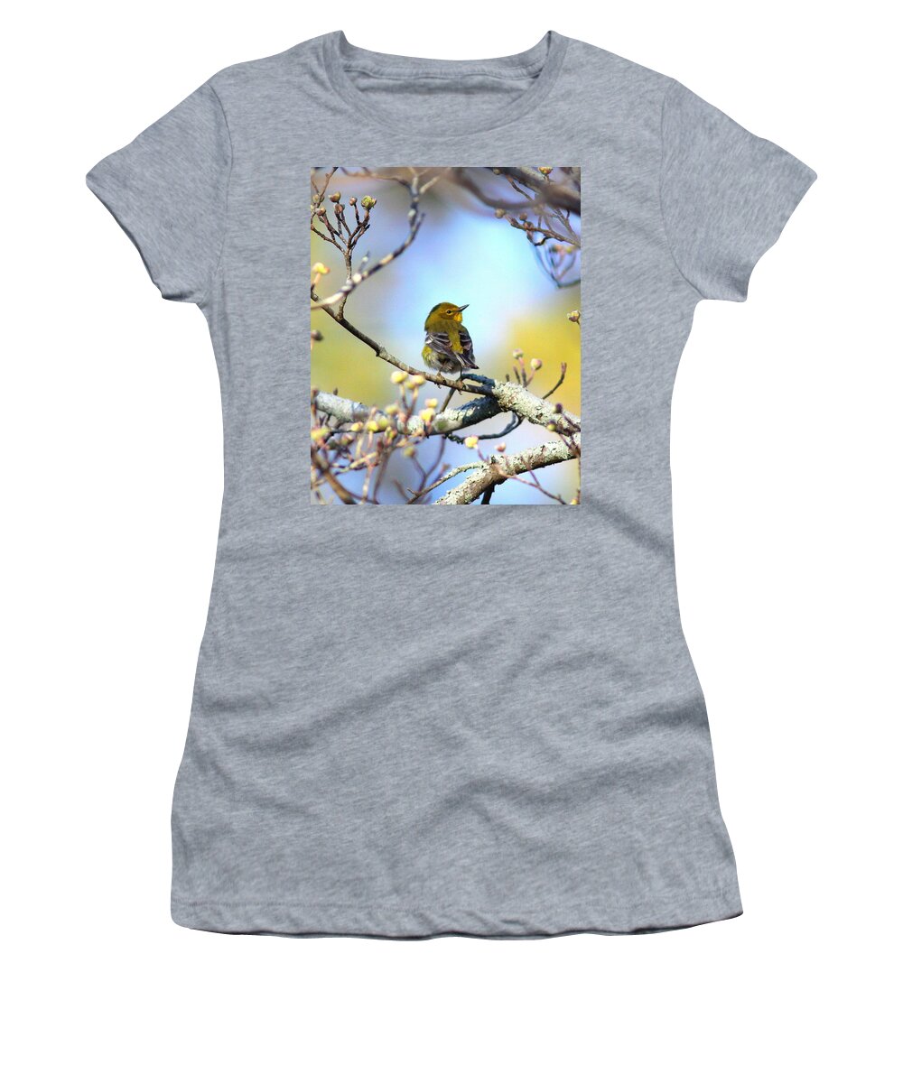 Pine Warbler Women's T-Shirt featuring the photograph IMG_3822-002 - Pine Warbler by Travis Truelove