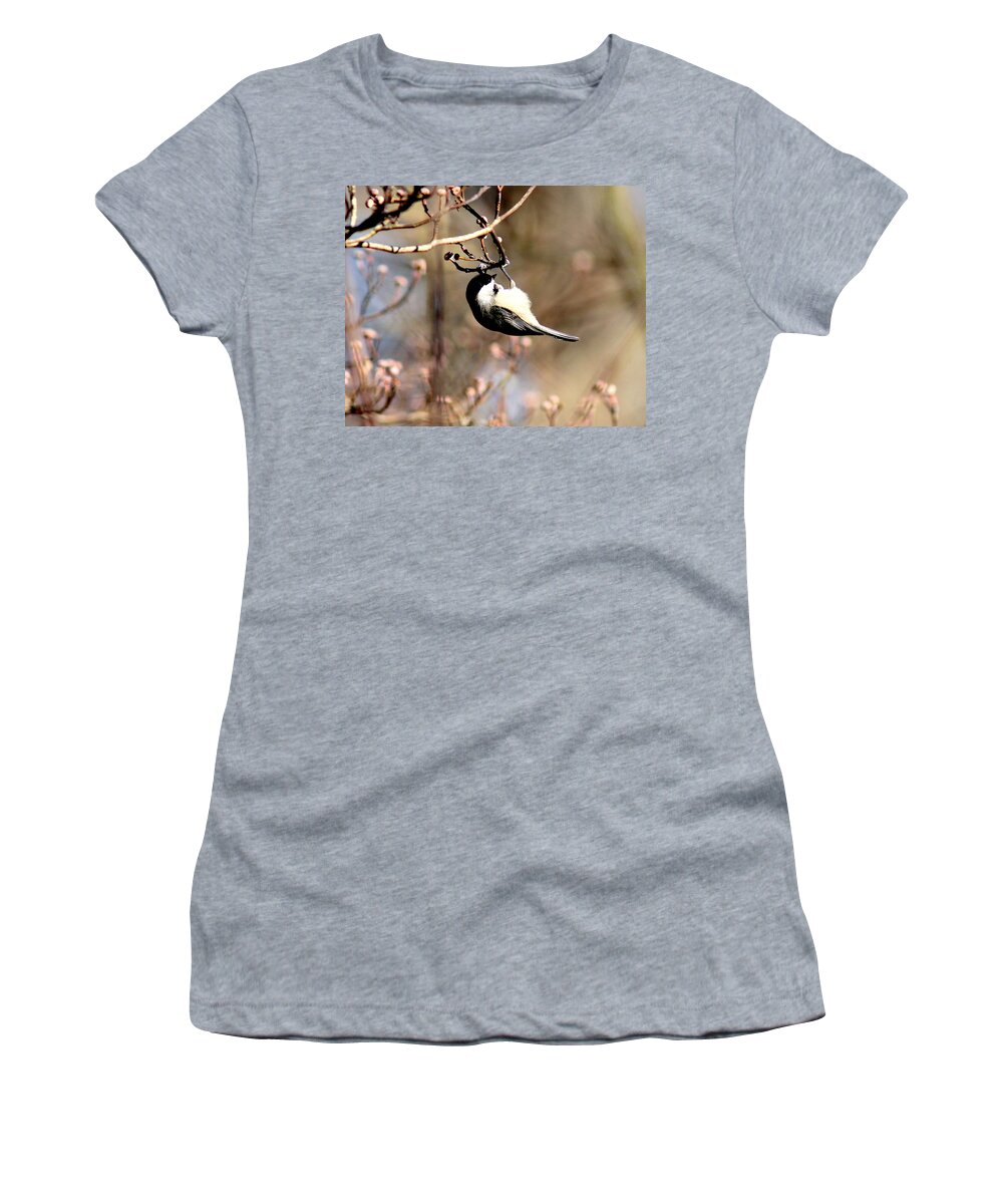 Carolina Chickadee Women's T-Shirt featuring the photograph IMG_4684 - Carolina Chickadee by Travis Truelove
