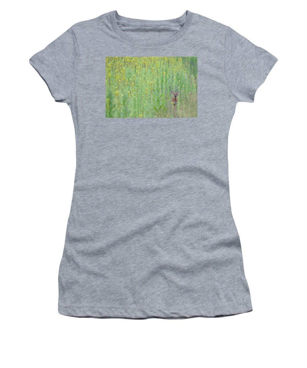 Fawn Women's T-Shirt featuring the photograph Immersed In Mullein by Brook Burling