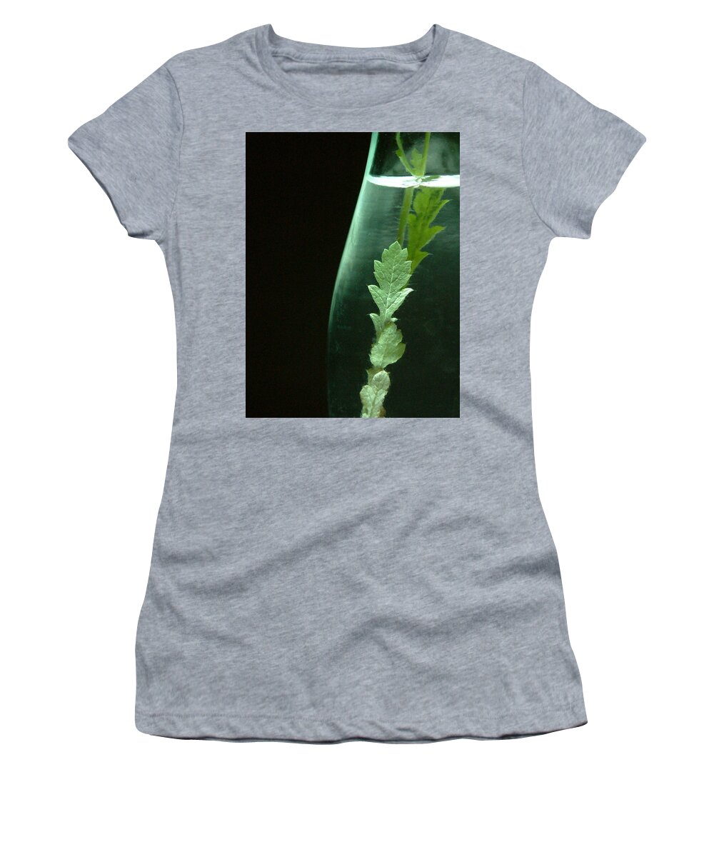 Kitchen Women's T-Shirt featuring the photograph In a bottle by Thomas Pipia