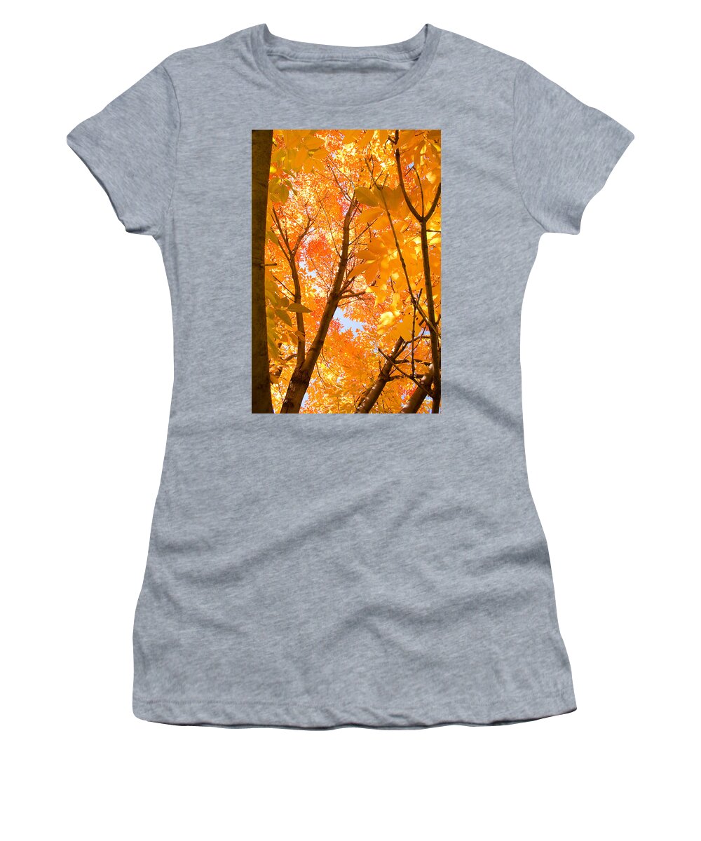 Autumn Women's T-Shirt featuring the photograph In the Autumn Mood by James BO Insogna