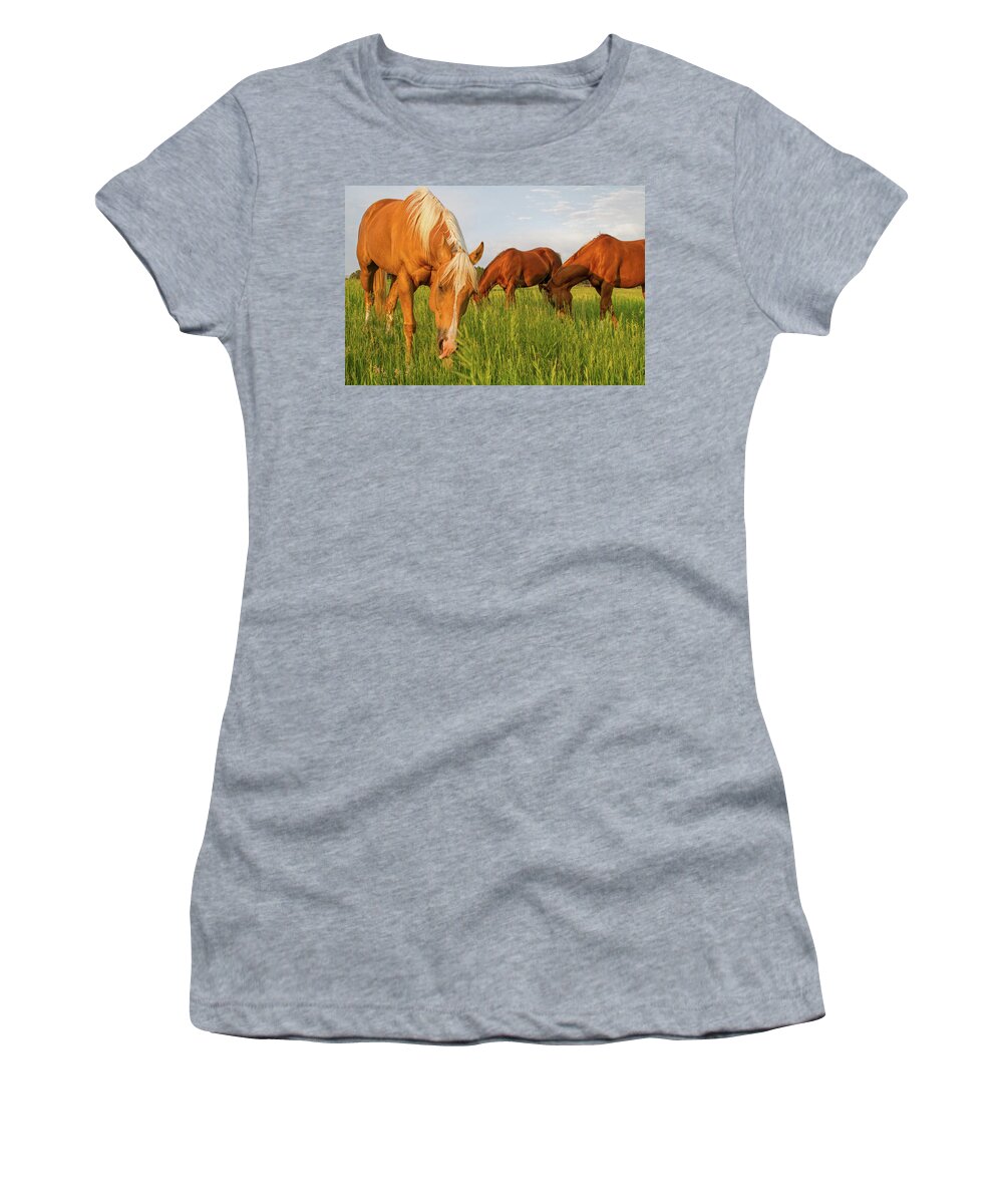 Quarter Horse Women's T-Shirt featuring the photograph In The Grass by Alana Thrower