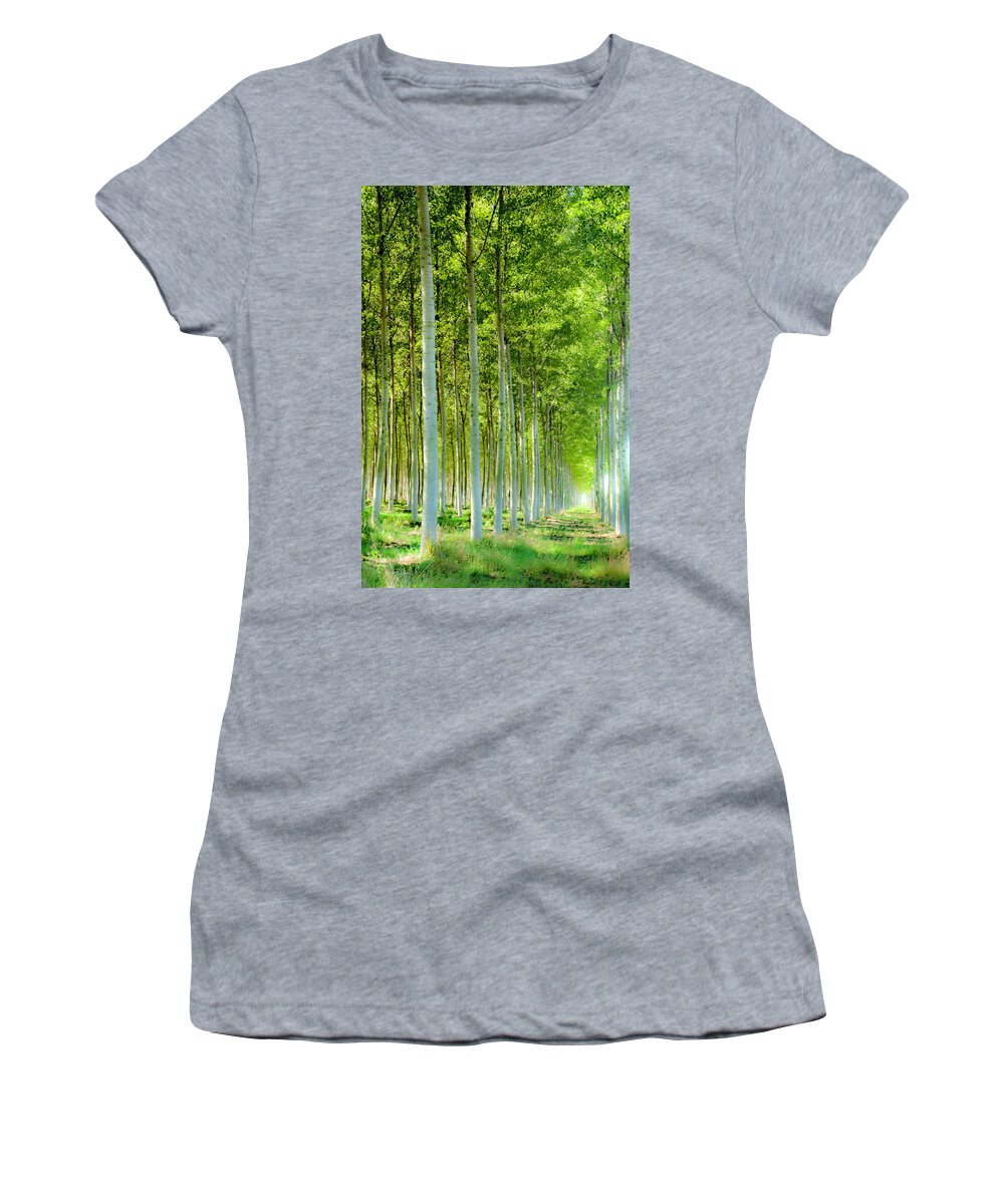 Woods Women's T-Shirt featuring the photograph In The Woods 4 by Wolfgang Stocker