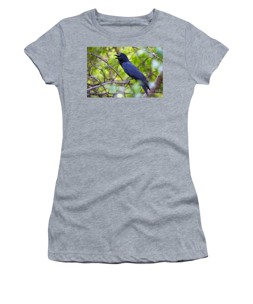Indian Jungle Crow Women's T-Shirt featuring the photograph Indian Jungle Crow by B. G. Thomson