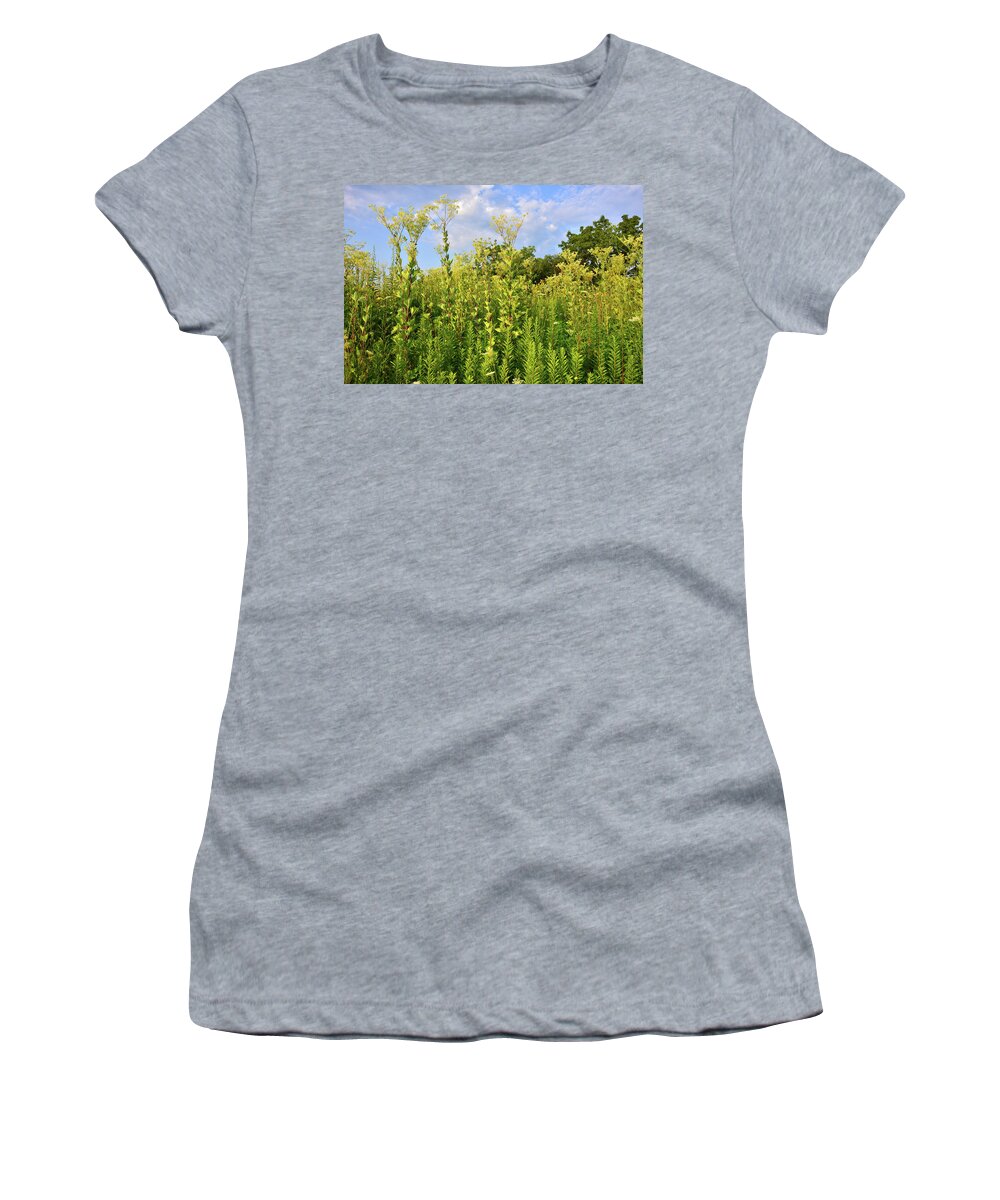 Sunflowers Women's T-Shirt featuring the photograph Indian Plantain at Marengo Ridge Conservation Area by Ray Mathis