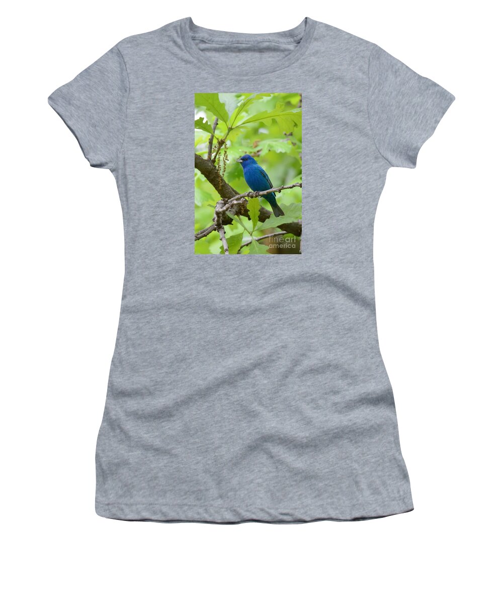 Indigo Bunting Bird Avian Nature Wildlife Women's T-Shirt featuring the photograph Indigo Bunting No 4 4473 by Ken DePue