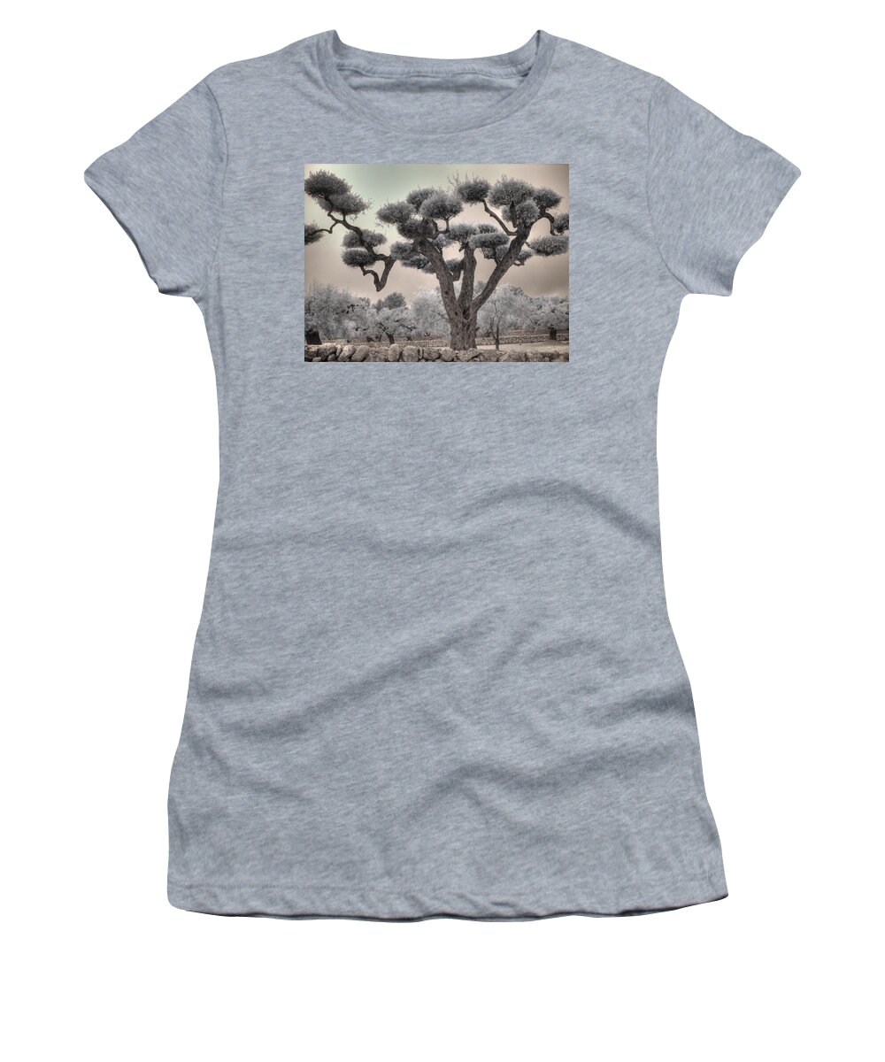 Olive Women's T-Shirt featuring the photograph Infrared Spanish Olive tree Bonsai by Jane Linders