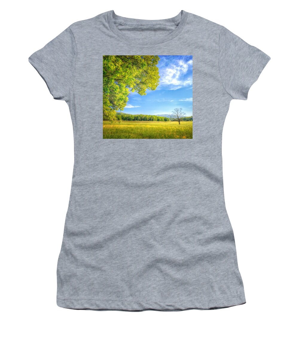 Blue Ridge Mountains Women's T-Shirt featuring the photograph Into Walnut Field by Sylvia J Zarco