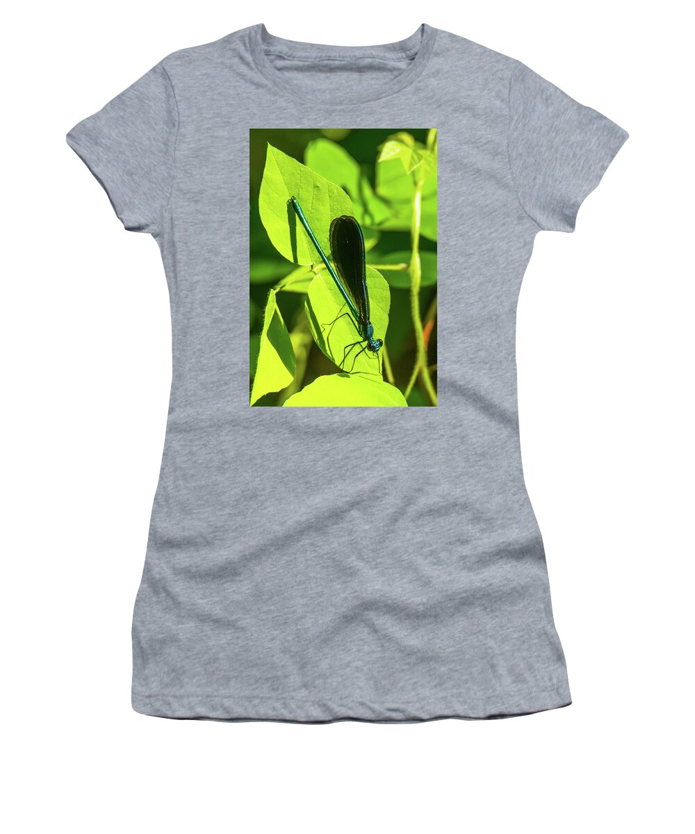 04jun17 Women's T-Shirt featuring the photograph Iridescent Green and Blue Dragonfly by Jeff at JSJ Photography