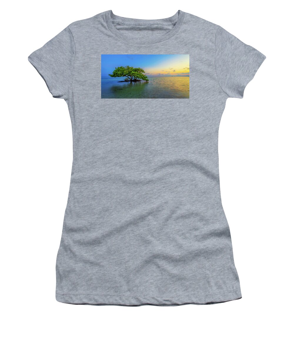 Mangrove Women's T-Shirt featuring the photograph Isolation by Chad Dutson