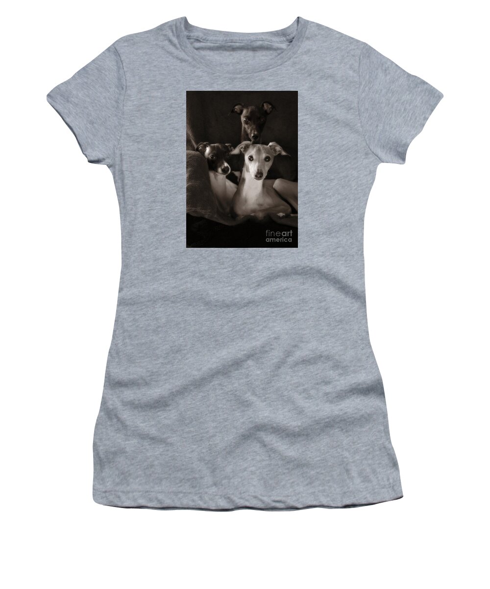 Black And White Women's T-Shirt featuring the photograph Italian Greyhound Trio in Black and White by Angela Rath