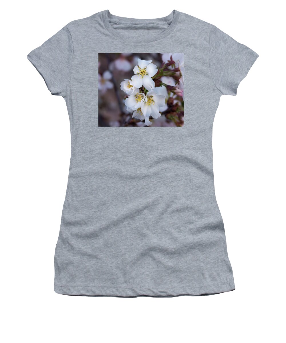 Japanese Women's T-Shirt featuring the photograph Japanese Cherry Blooms by Cynthia Wolfe