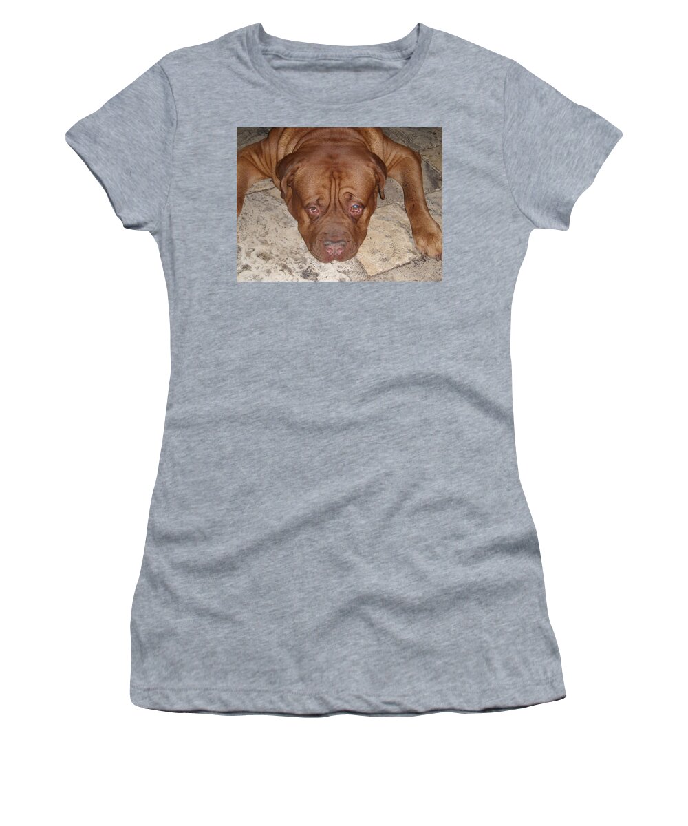 Dog Women's T-Shirt featuring the photograph JAX by Val Oconnor