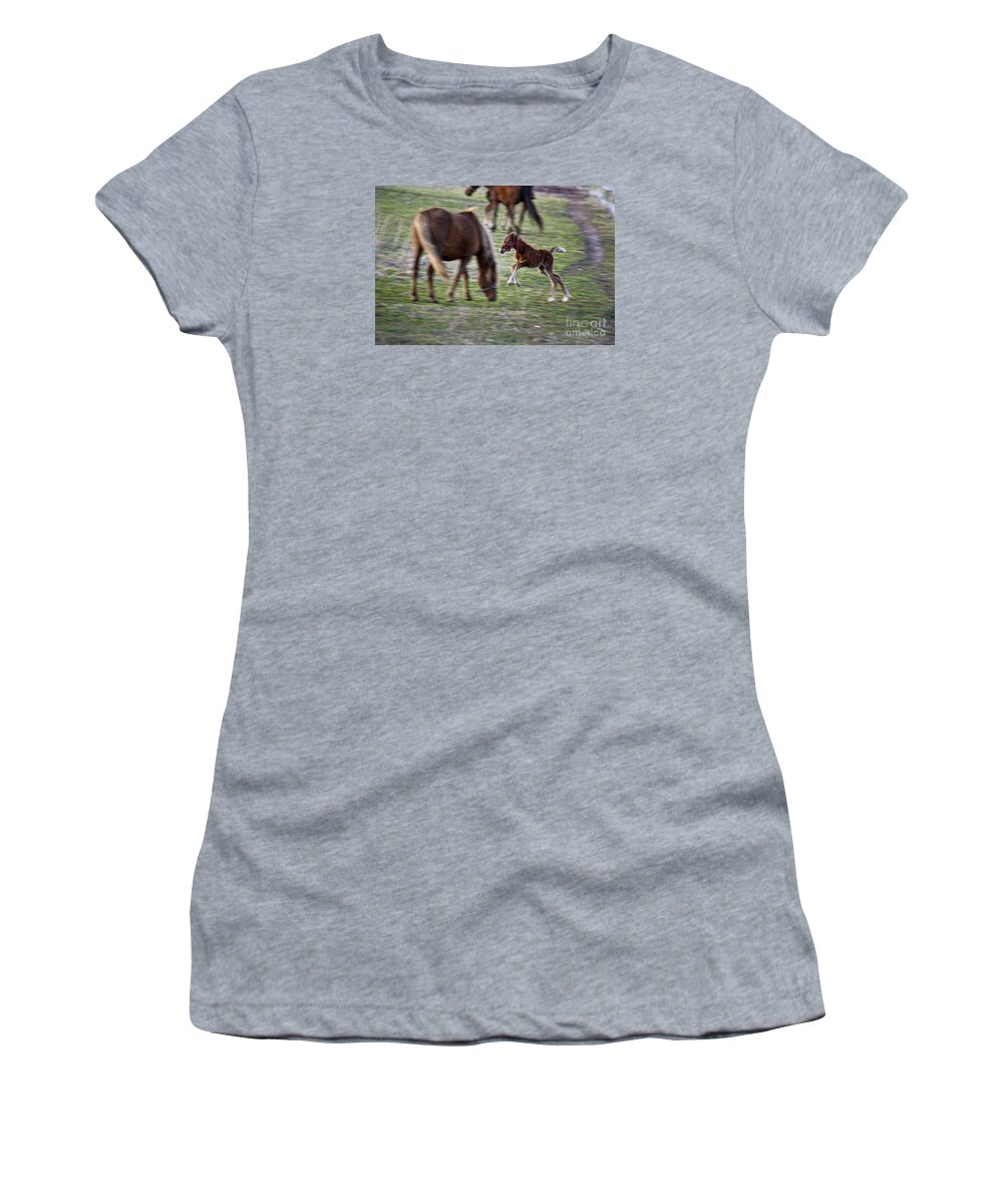 Amish Horse Women's T-Shirt featuring the photograph Jumper by David Arment