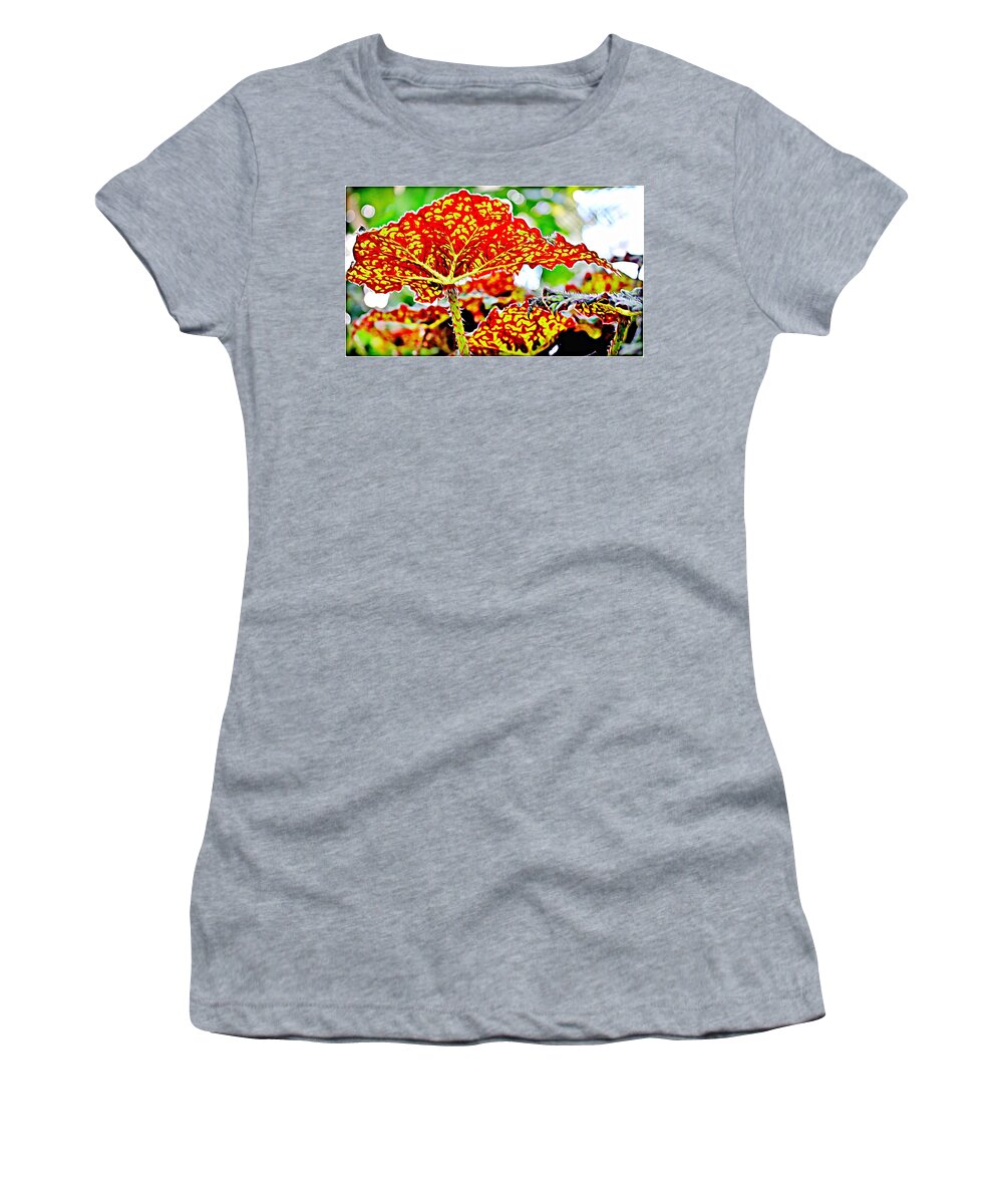 Tropical Women's T-Shirt featuring the photograph Jungle Leaf by Mindy Newman