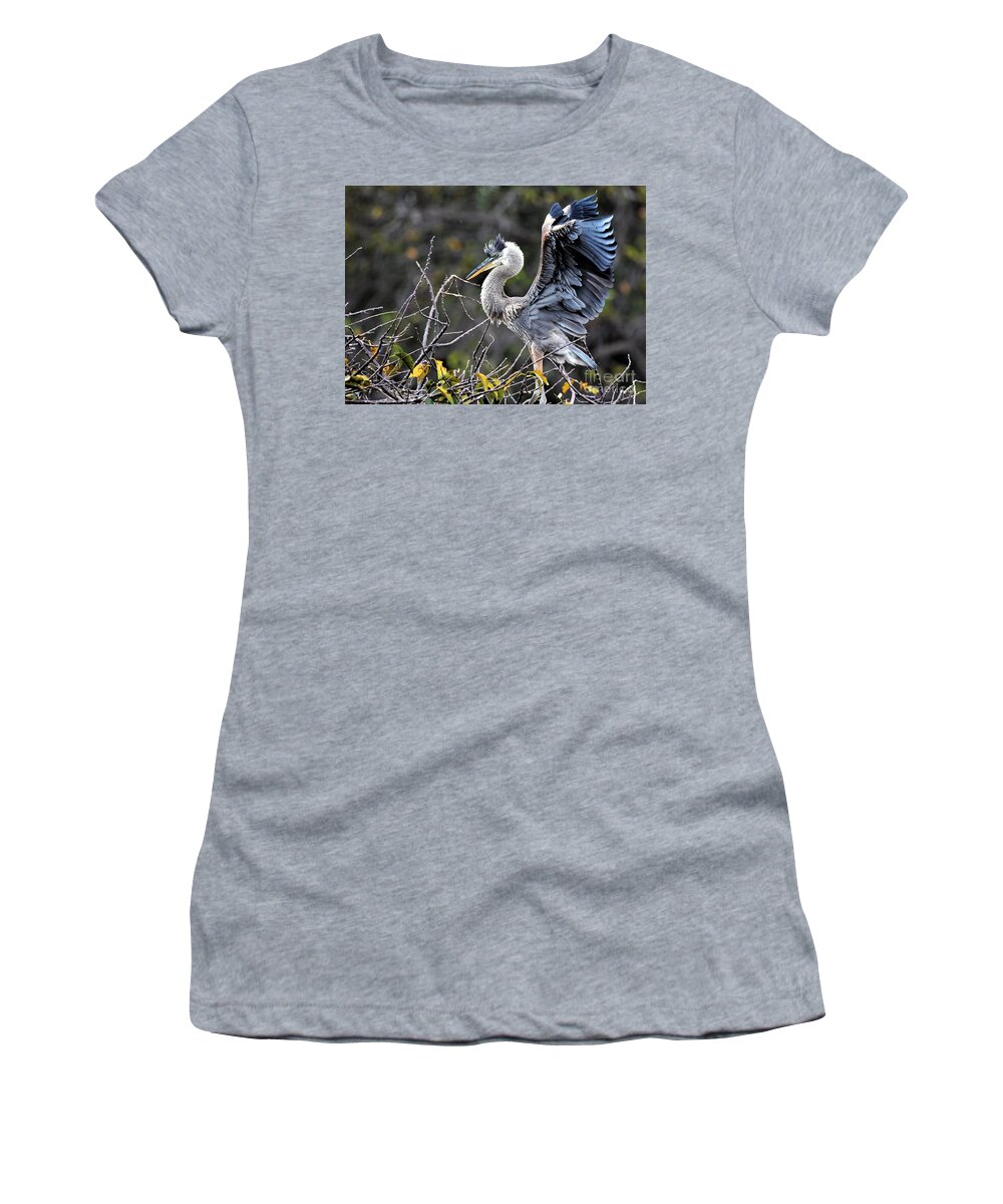 Immature Great Blue Heron Women's T-Shirt featuring the photograph Juvenile Great Blue Heron by Julie Adair