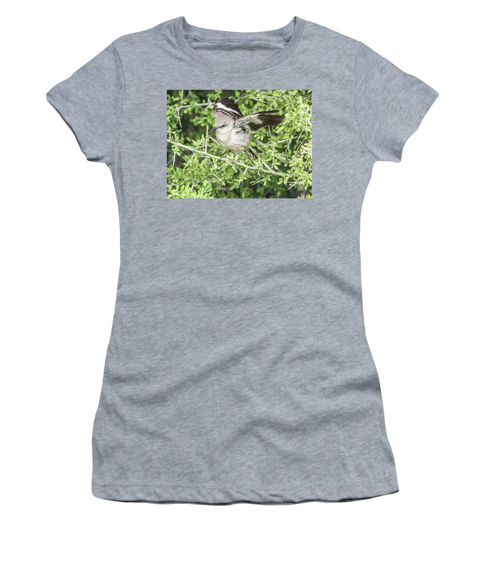 Mockingbird Women's T-Shirt featuring the photograph Juvenile Mockingbird with Crossbill by Tam Ryan