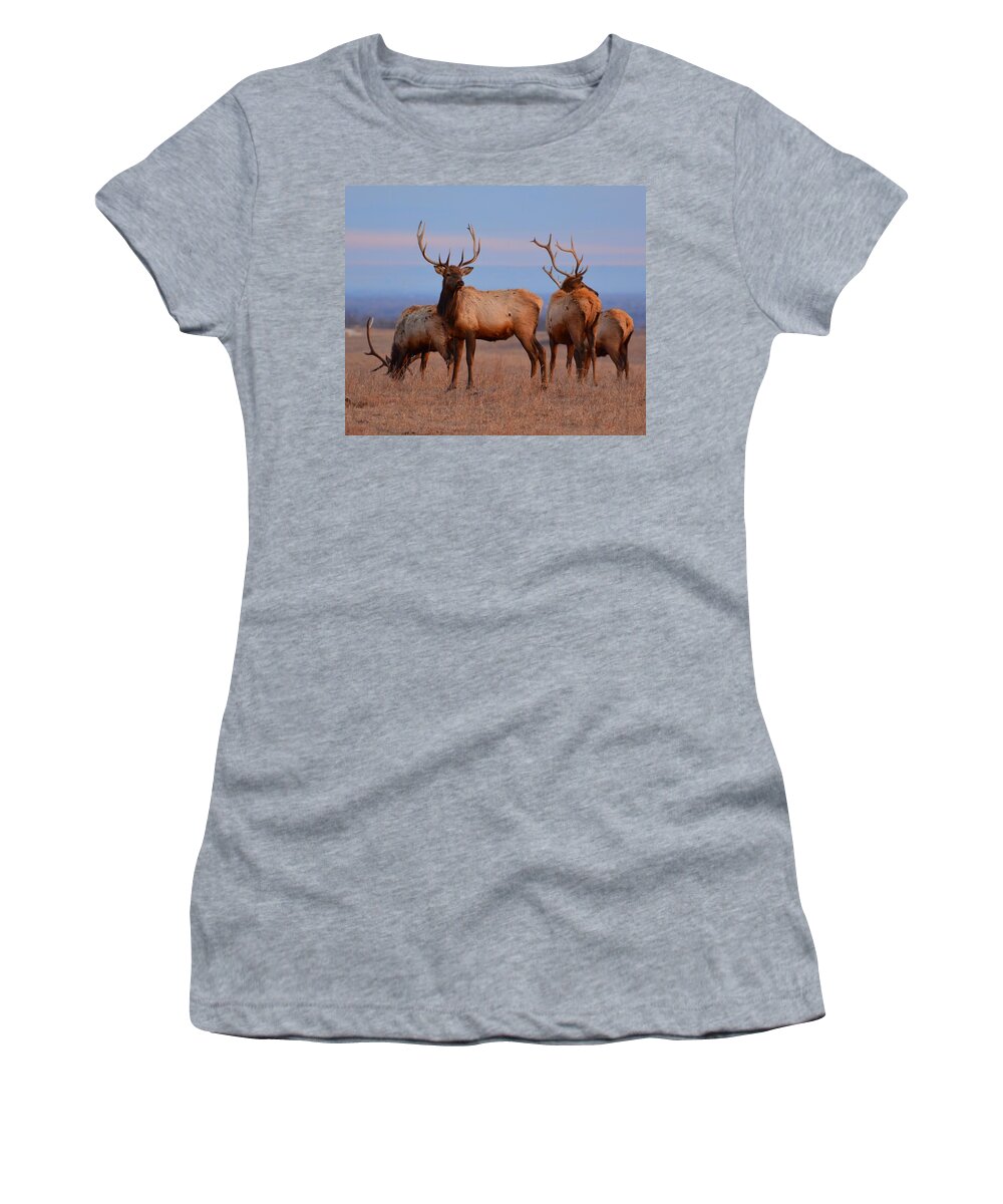 Elk Women's T-Shirt featuring the photograph Kansas Elk 2 by Keith Stokes