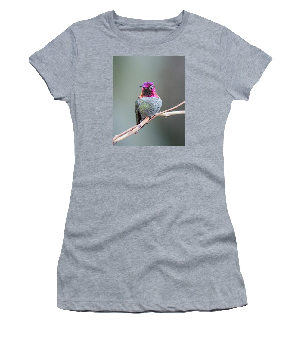 Nature Photography Women's T-Shirt featuring the photograph Karisa's Hummingbird.1 by E Faithe Lester