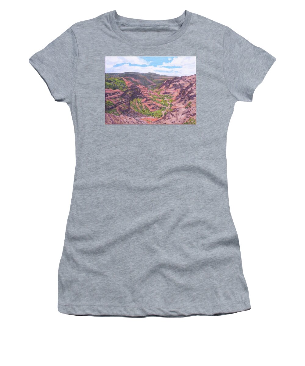 Landscape Women's T-Shirt featuring the painting Kauai Canyon by Stan Chraminski