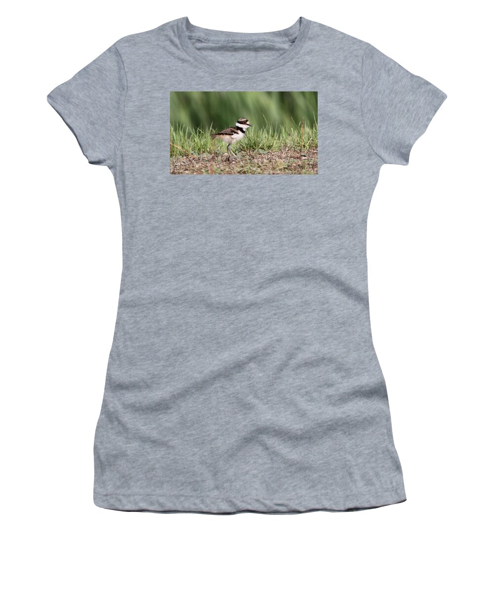 Nature Women's T-Shirt featuring the photograph Killdeer - 24 Hours Old by Travis Truelove