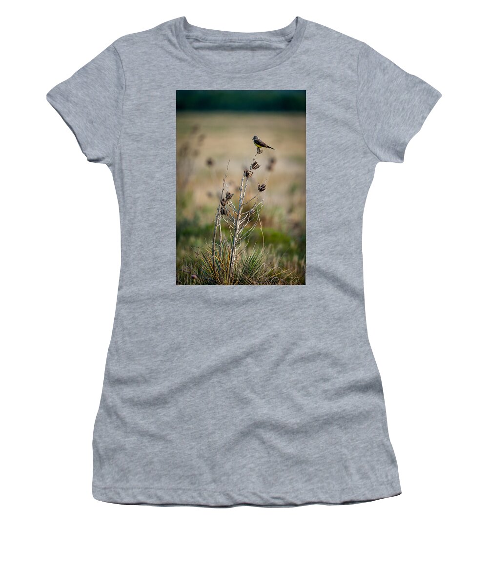 Bird Women's T-Shirt featuring the photograph Kingbird on Yucca by Jeff Phillippi