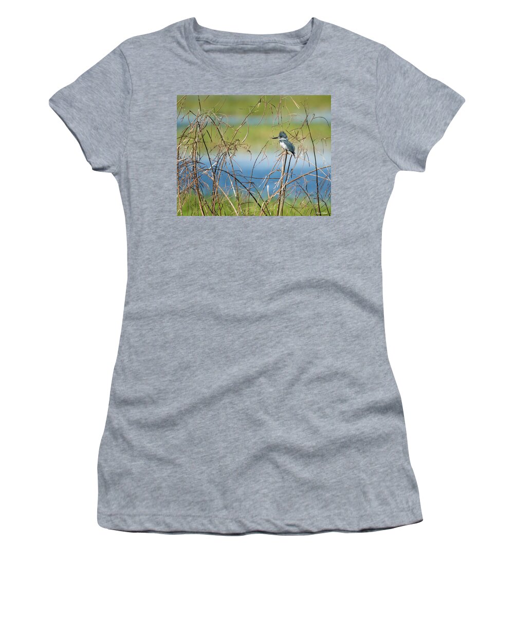 Perch Women's T-Shirt featuring the photograph Kingfisher Perching by Fran Gallogly