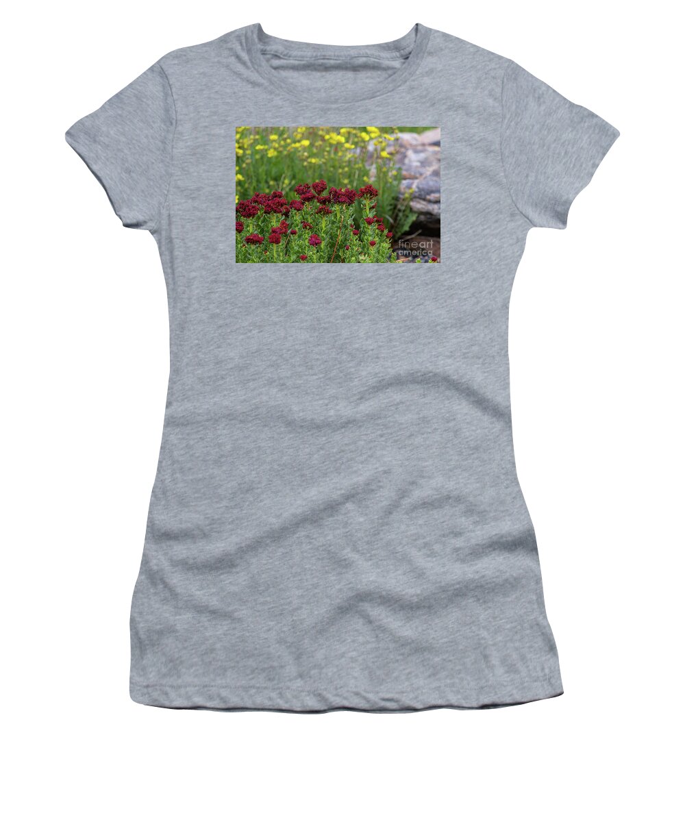 Wildflowers Women's T-Shirt featuring the photograph Kings Crown Curtain by Jim Garrison