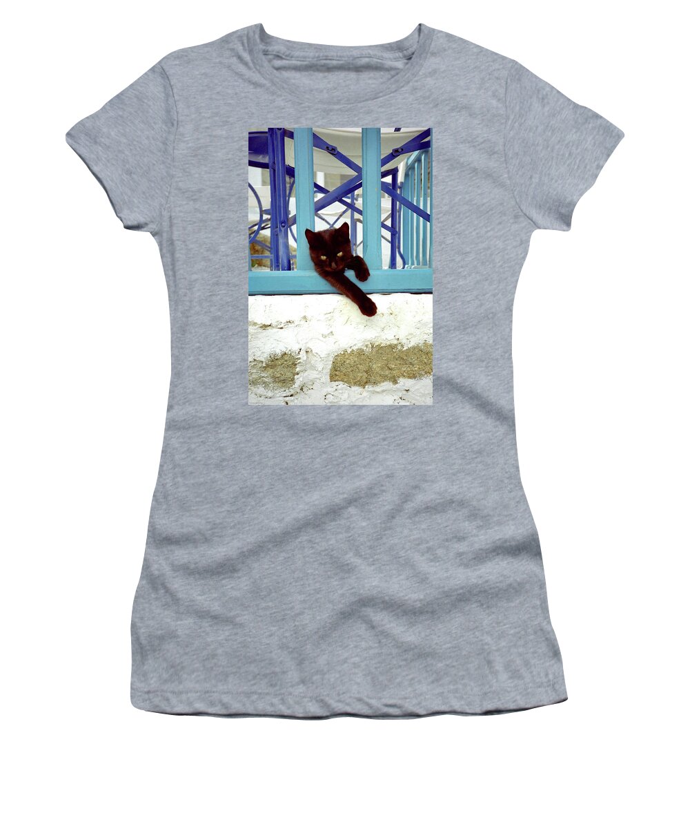 Cuddly Women's T-Shirt featuring the photograph Kitten with Blue Rail by Frank DiMarco