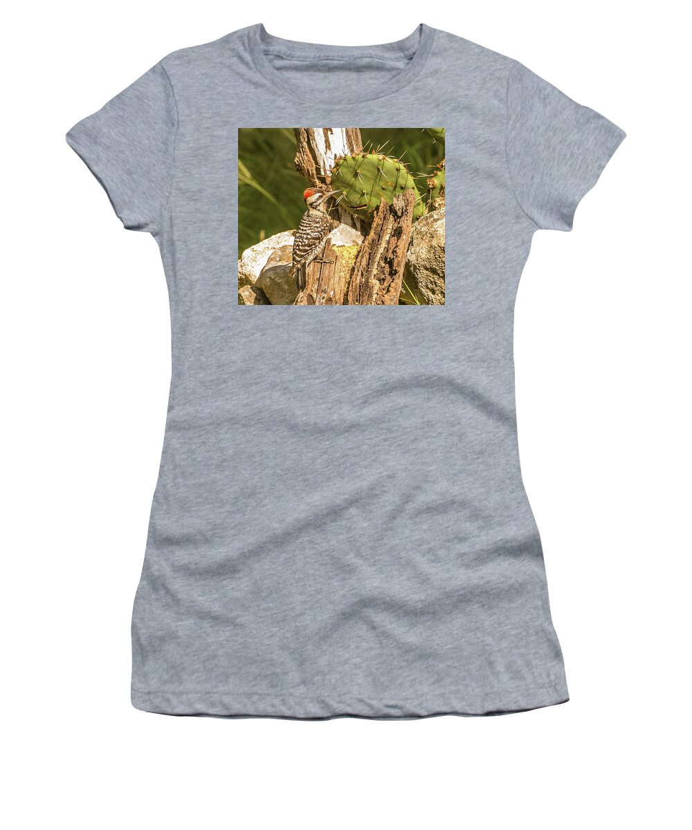 Ladderback Woodpecker Women's T-Shirt featuring the photograph Ladderback with Cactus by Peggy Blackwell