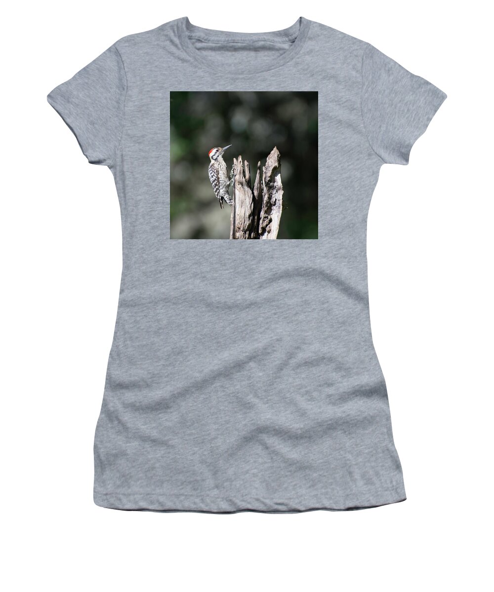 Bird Women's T-Shirt featuring the photograph Ladderback Woodpecker by Peggy Blackwell
