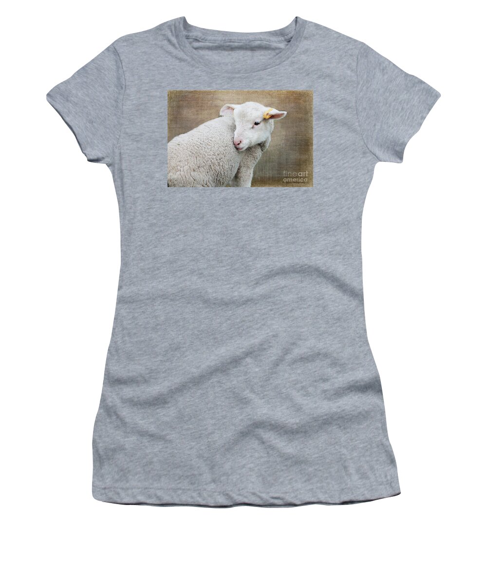 Lamb Women's T-Shirt featuring the photograph Lamb Lament 2 by Nina Silver