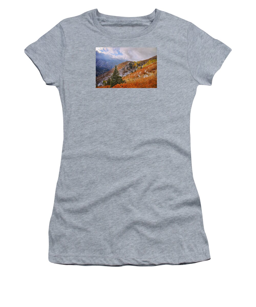Forest Women's T-Shirt featuring the photograph Last Fall by Chad Dutson