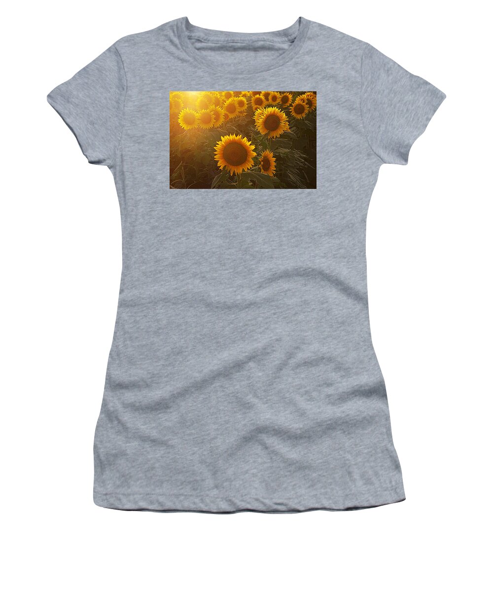 Gold Flowers Women's T-Shirt featuring the photograph Late Afternoon Golden Glow by Karen McKenzie McAdoo