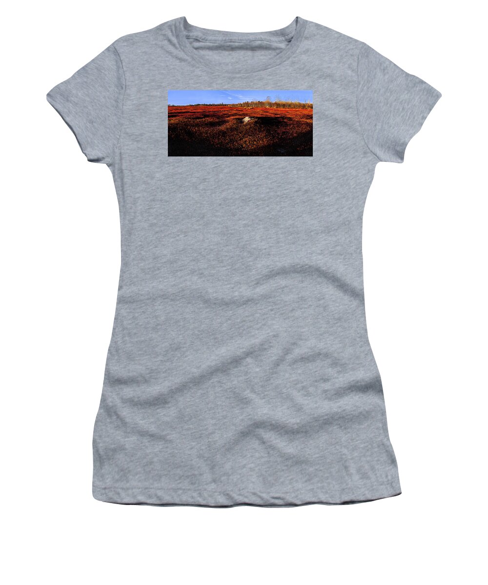 Blueberry Fields Women's T-Shirt featuring the photograph Late Autumn Crimson Blueberry Barrens by Marty Saccone