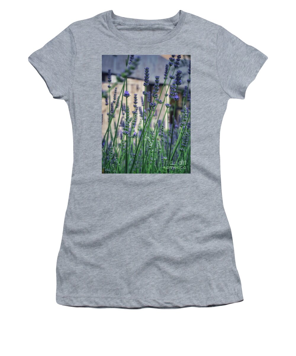 Lavender Women's T-Shirt featuring the photograph Lavender in Nice by Diana Rajala