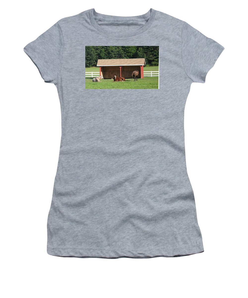 Horses Women's T-Shirt featuring the photograph Lazy Horses by Ed Smith